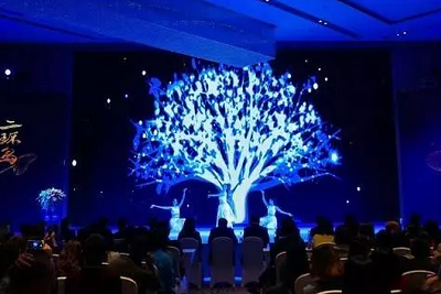 電建地產(chǎn)洺悅府發(fā)布會——實現(xiàn)島主夢